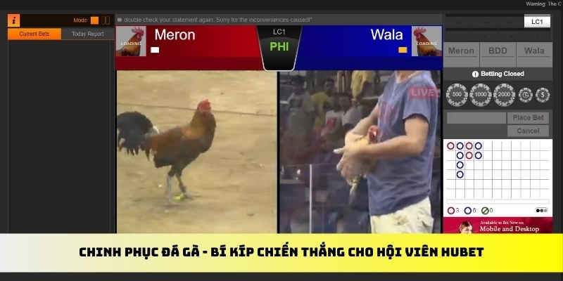 chinh phục đá gà hubet