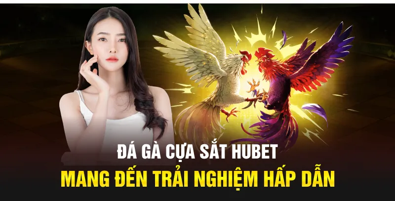 Đá gà cựa sắt Hubet mang đến trải nghiệm hấp dẫn